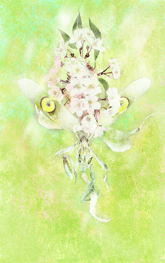 1781579154151360.png 《樱》.png